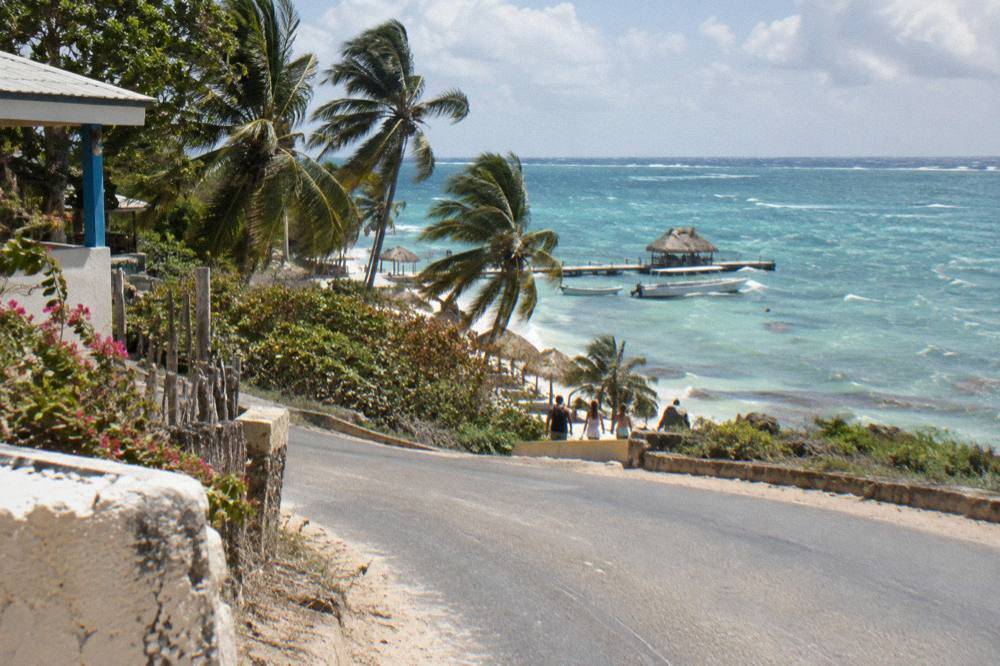 Coastal road curving beside palm trees toward a small fishing village