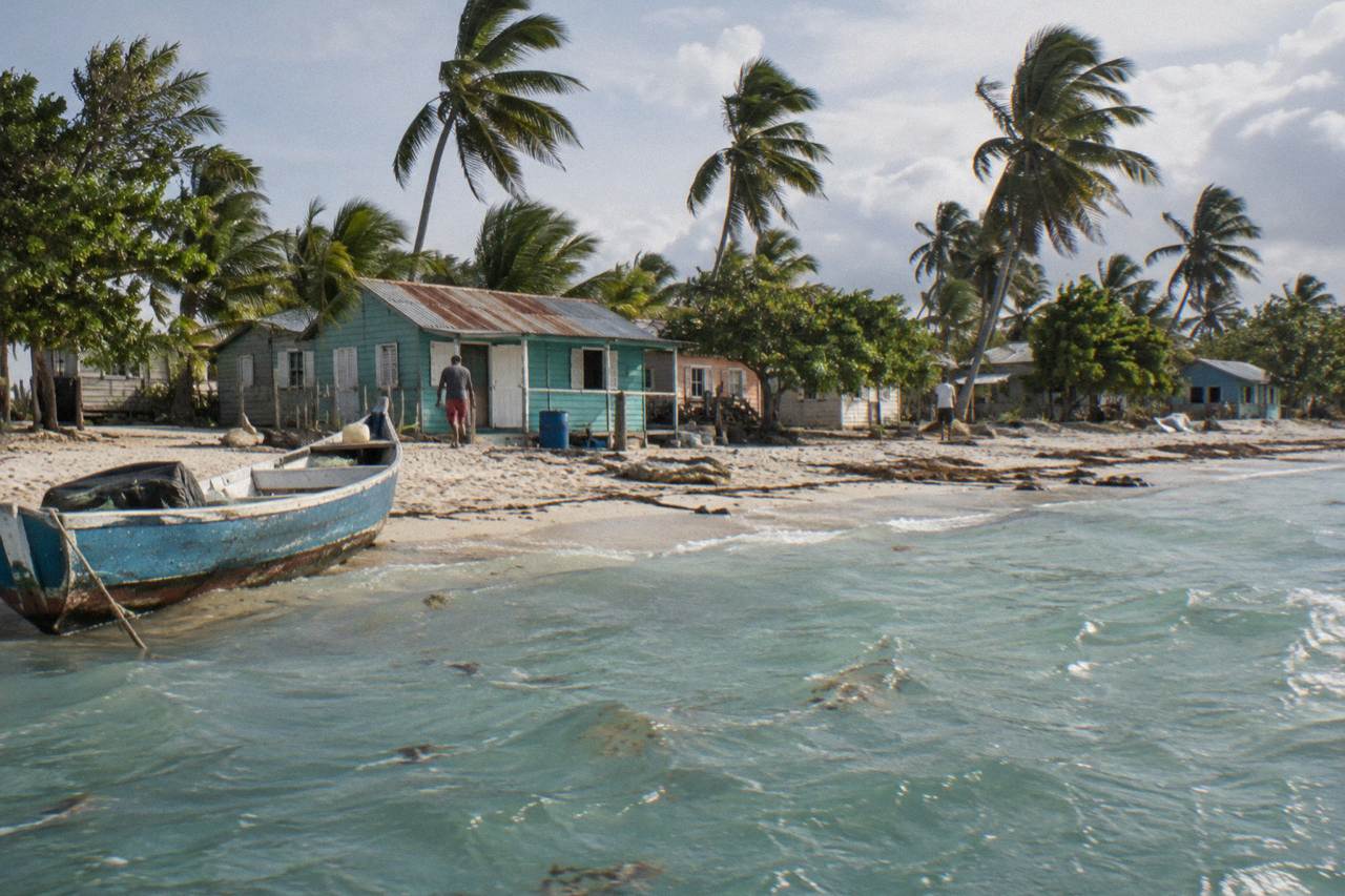 Turquoise shallow water and palm trees along a Saona Island beach