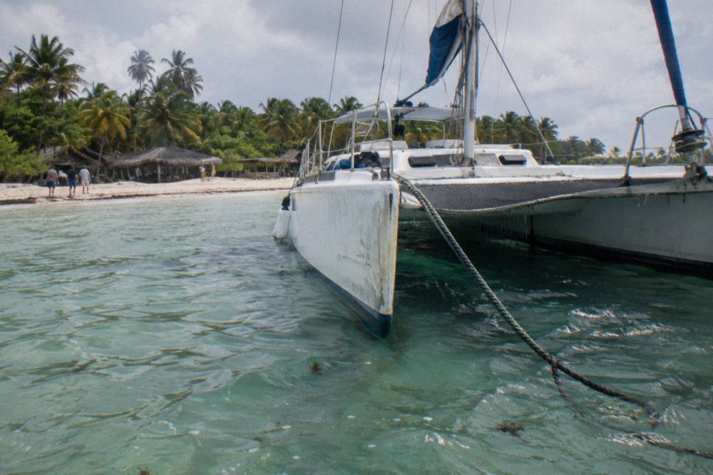 Catamaran moored in shallow turquoise water near a palm-lined beach
