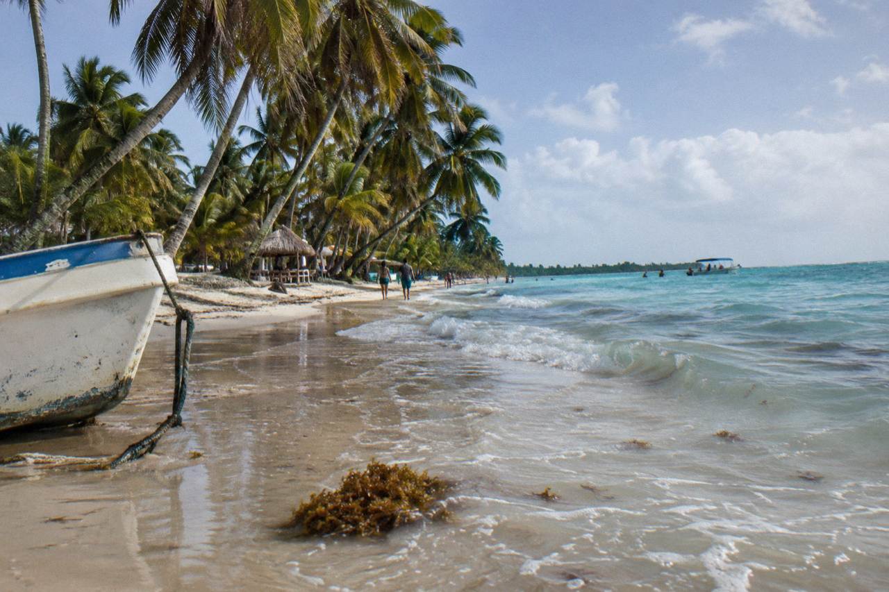 White sand beach and calm turquoise water at Saona Island with palm trees