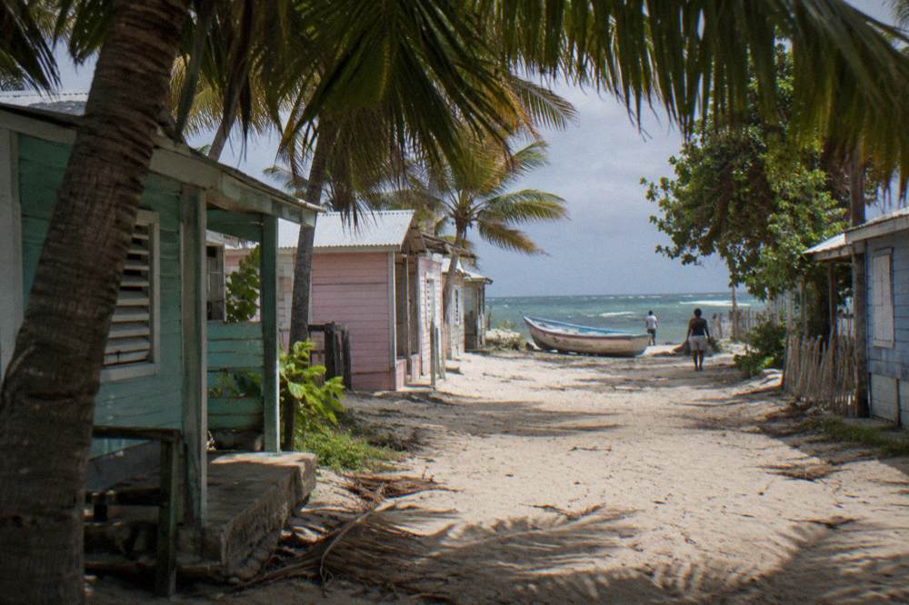 A palm shaded village street with small painted houses and a moored fishing boat