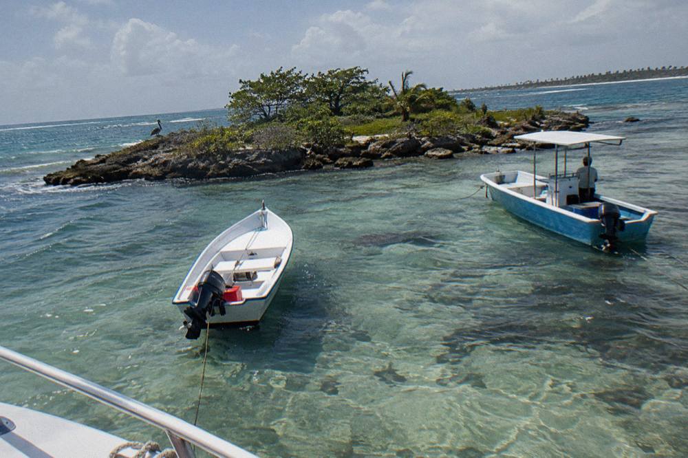 Two small boats anchored over clear shallow water near a palm-lined sandbar