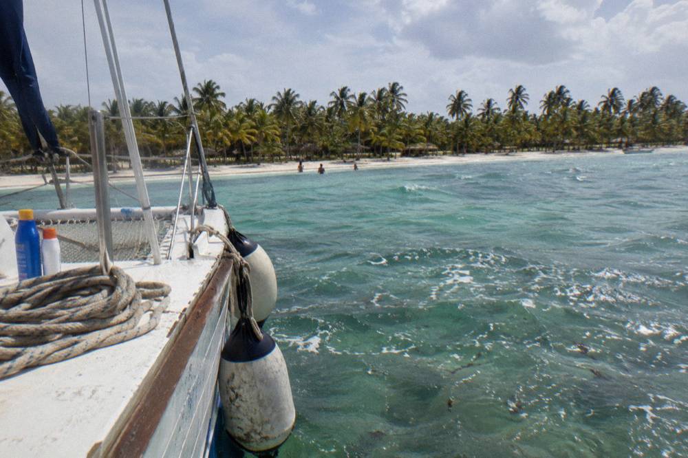 A catamaran anchored in shallow turquoise water near a palm-lined beach