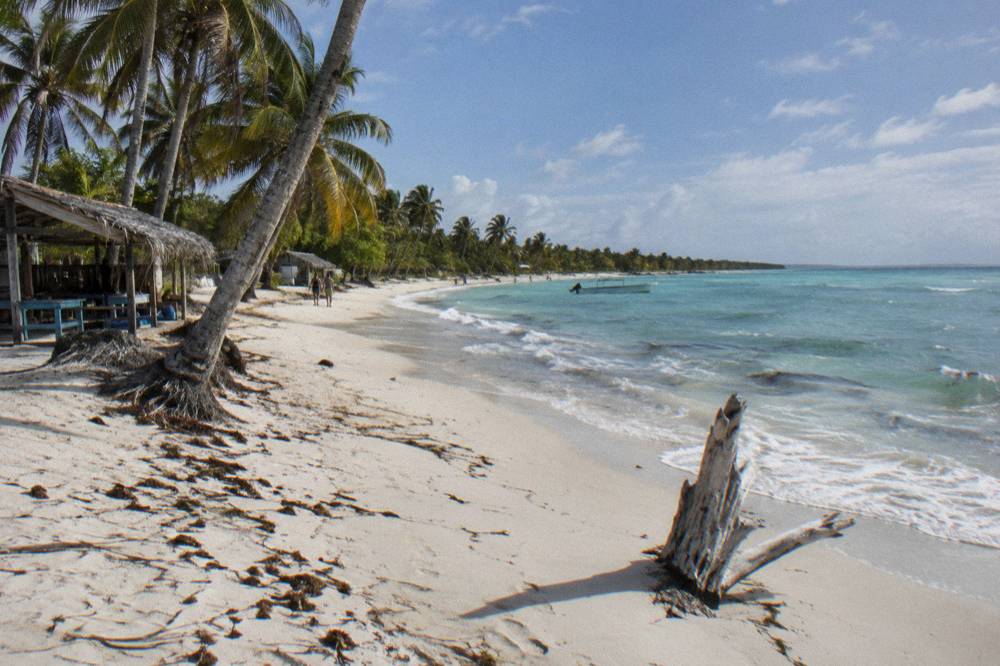 Clear sky over a wide sandy beach with leaning palm trees and calm water