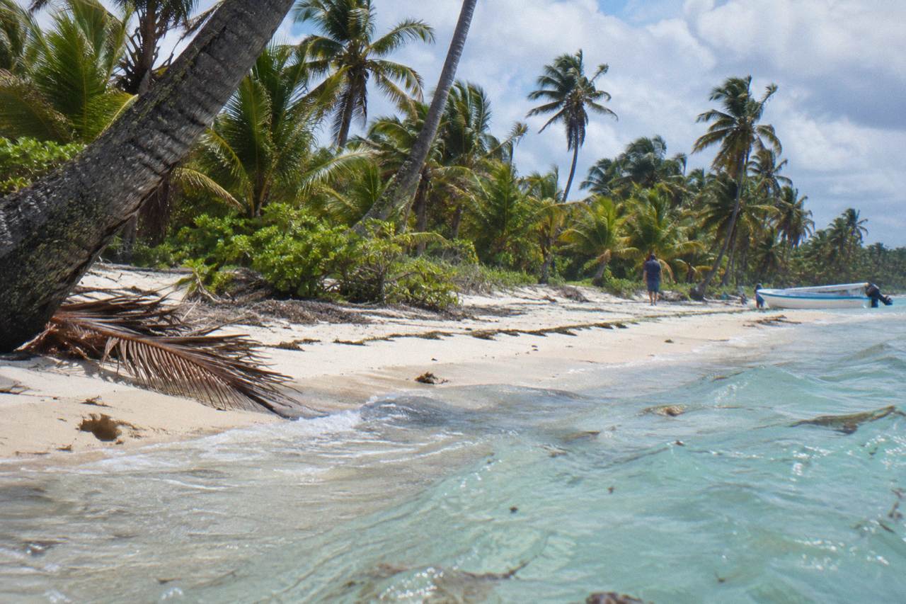 Shallow turquoise water and palm trees along a quiet Saona Island beach