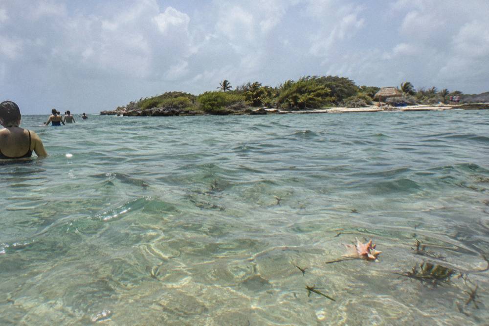 Clear shallow water over a sandy bottom with distant palm-lined shoreline at a Caribbean sandbar