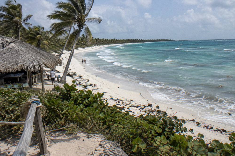 Palm trees leaning over an empty white sand beach under scattered clouds