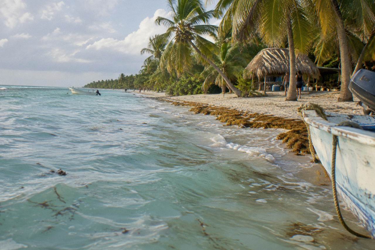 Turquoise shallow water and palm trees along a Caribbean beach at Saona Island